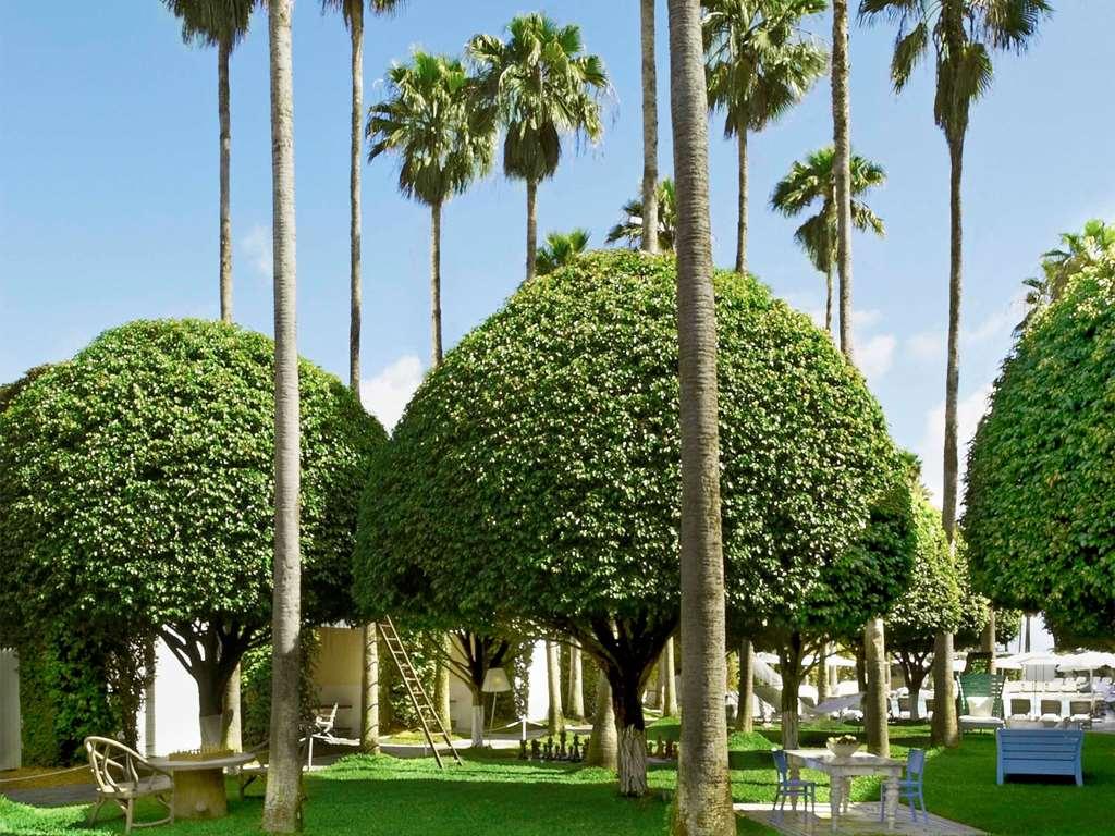 Delano South Beach ไมอามีบีช สิ่งอำนวยความสะดวก รูปภาพ